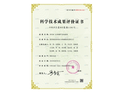 勝動（dòng）集團公司20V190 大功率燃氣發電（diàn）機組（zǔ）通過國際先進水平鑒定